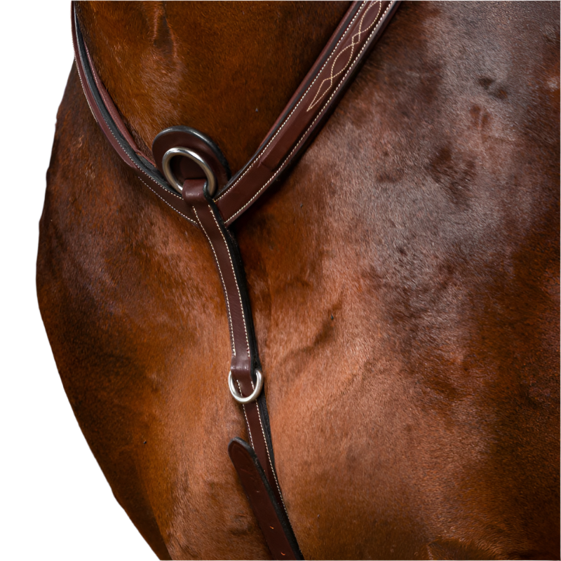 Dyon - Collier de chasse à pont US Collection brun | - Ohlala