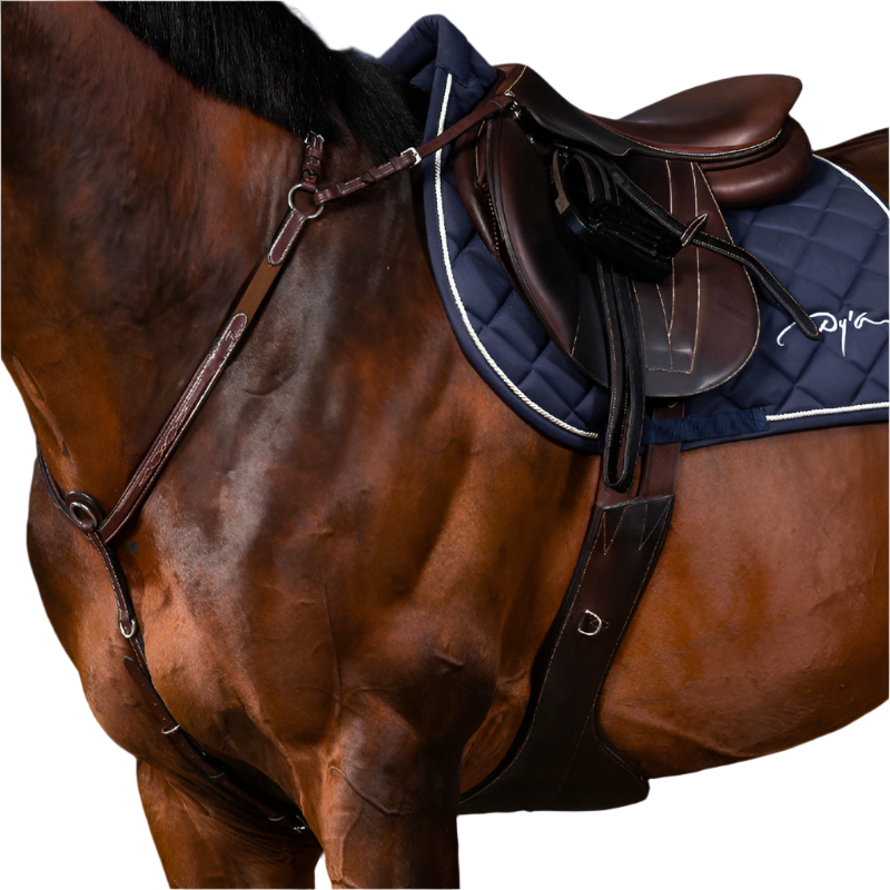 Dyon - Collier de chasse à pont US Collection brun | - Ohlala