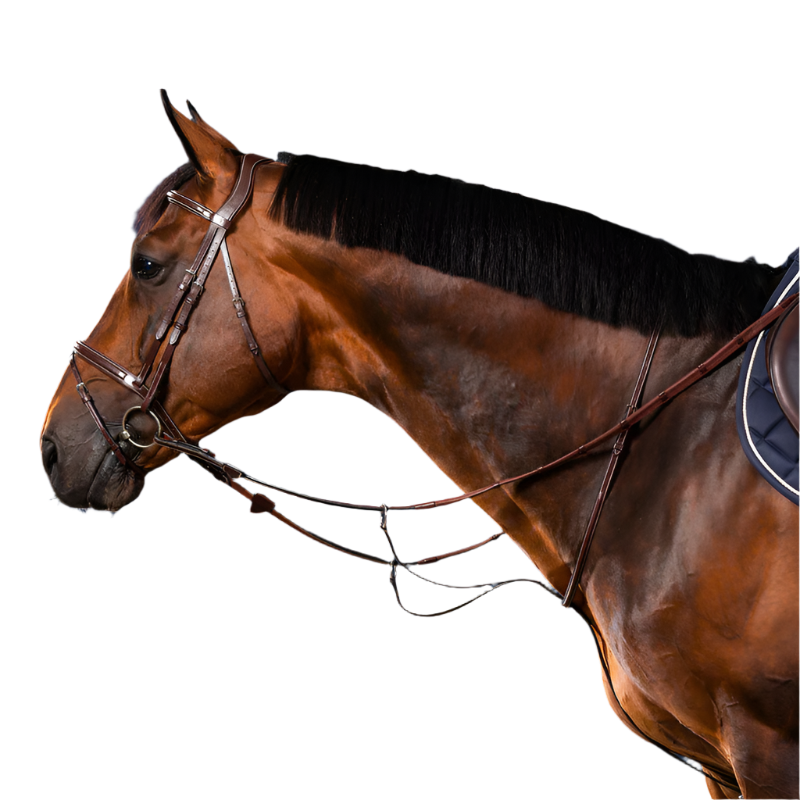 Dyon - Martingale à anneaux US Collection brun | - Ohlala