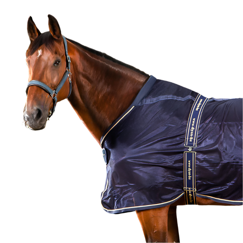 Dyon – Blauer elastischer Gurt