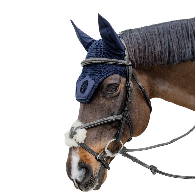 Dyon - Bridon muserolle croisée tressée noir | - Ohlala