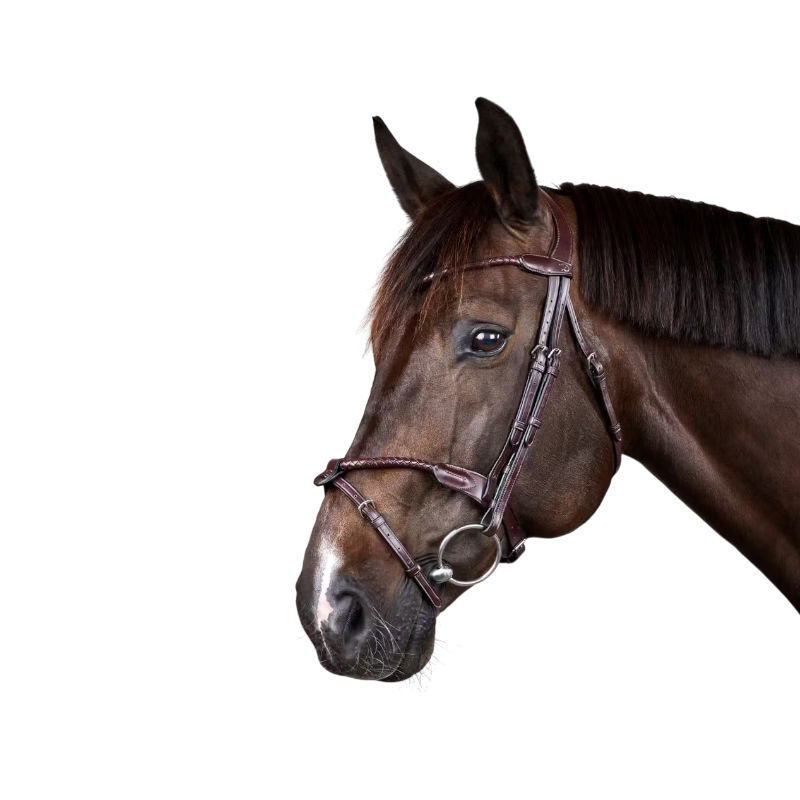 Dyon - Vlechtte teugel met afneembare neusriem Nieuwe Engelse Collectie bruin