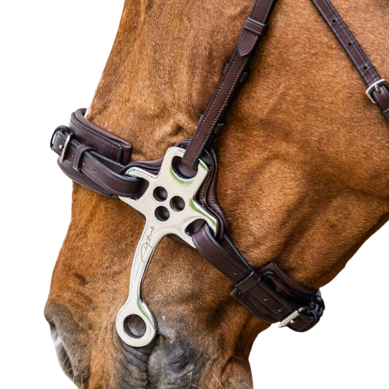 Dyon - Hackamore New English Collection brown