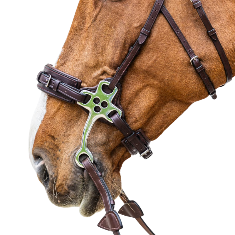 Dyon - Hackamore New English Collection brown