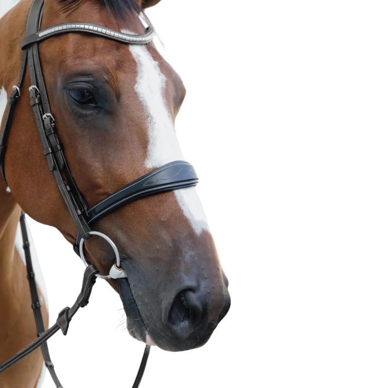 Dyon - Muserolle anatomique sans flash US Collection noir | - Ohlala