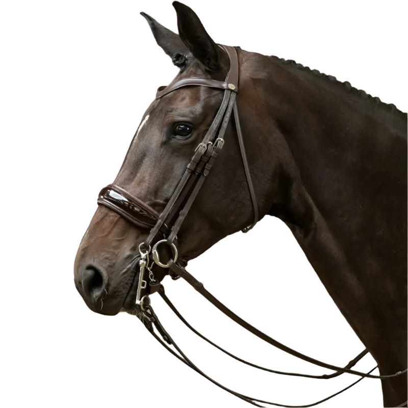 Dyon - Bride muserolle large vernie Working By Dyon brun | - Ohlala