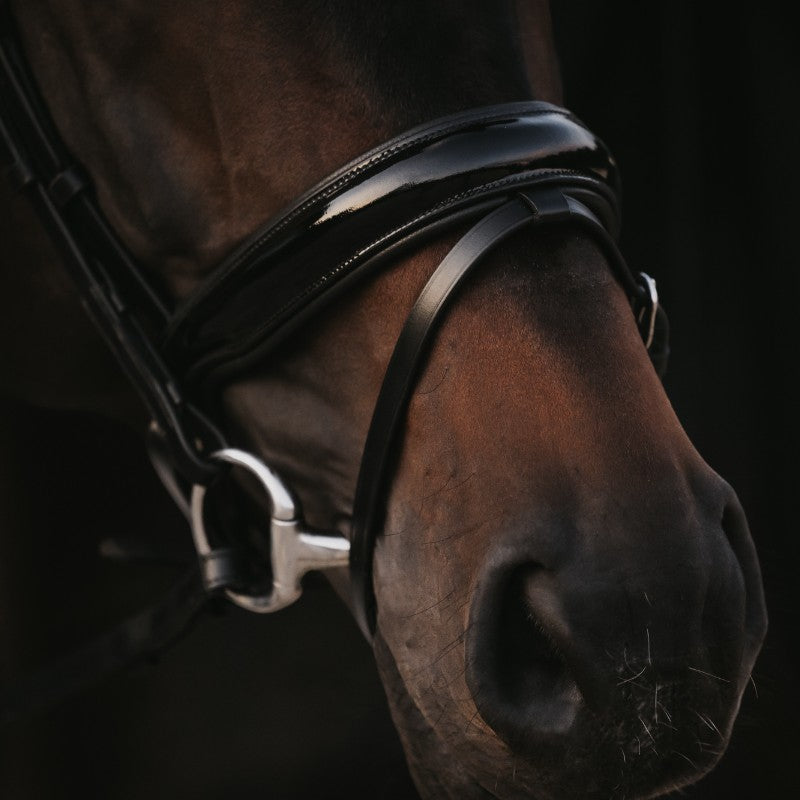 Dyon - Bridon muserolle combinée large vernie Working By Dyon noir | - Ohlala