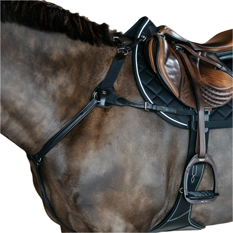 Dyon - Collier de chasse 5 points élastique New English Collection noir | - Ohlala