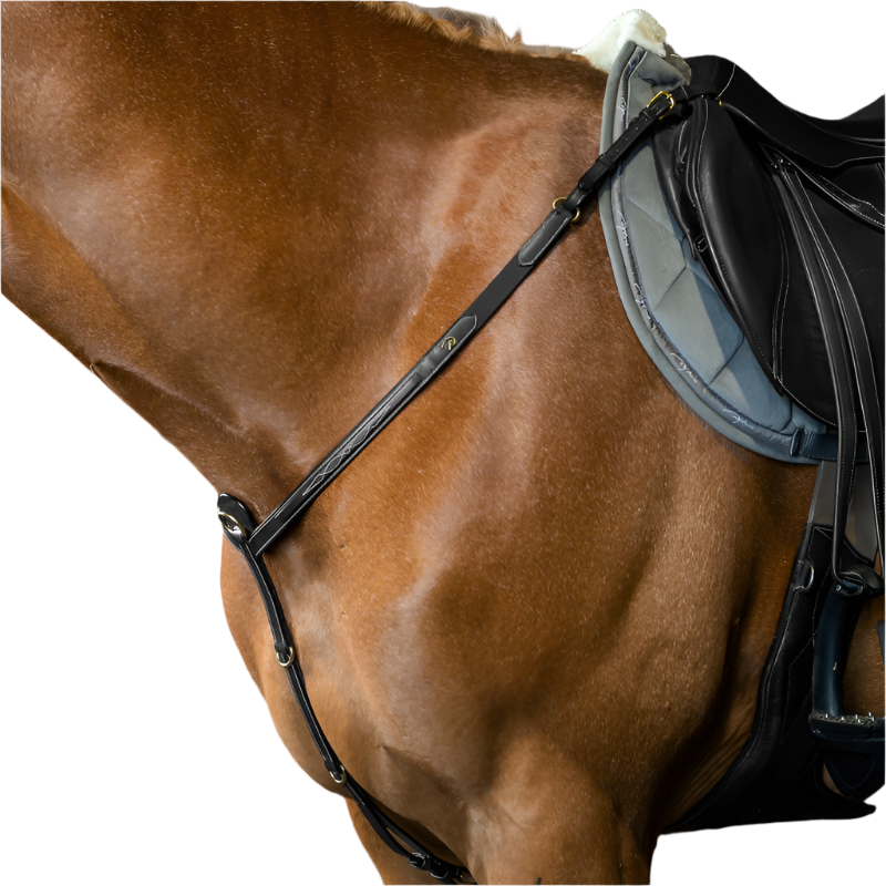 Dyon - Collier de chasse D Collection noir | - Ohlala