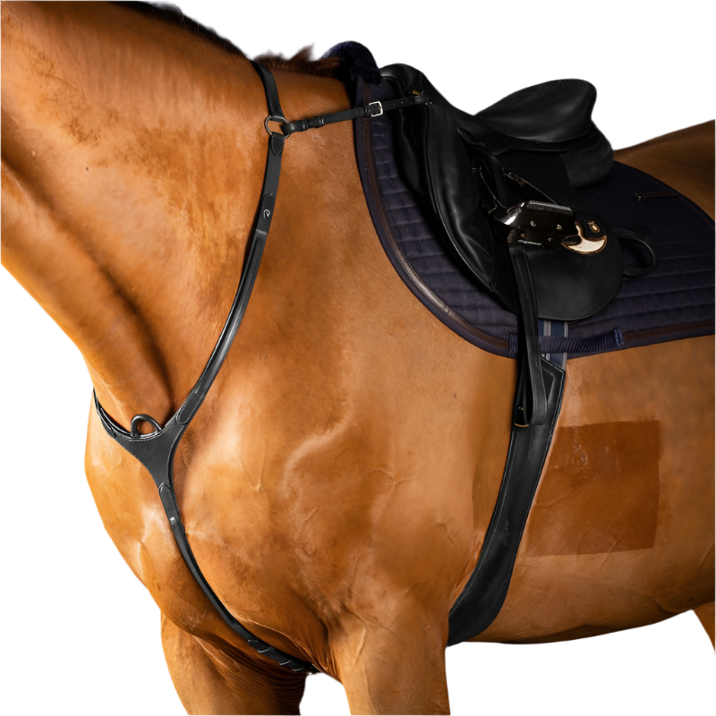 Dyon - Collier de chasse à pont New English Collection noir | - Ohlala