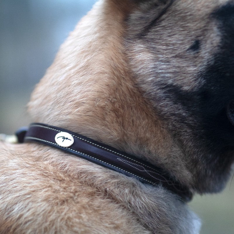 Dyon - Collier pour chien Fancy brun | - Ohlala