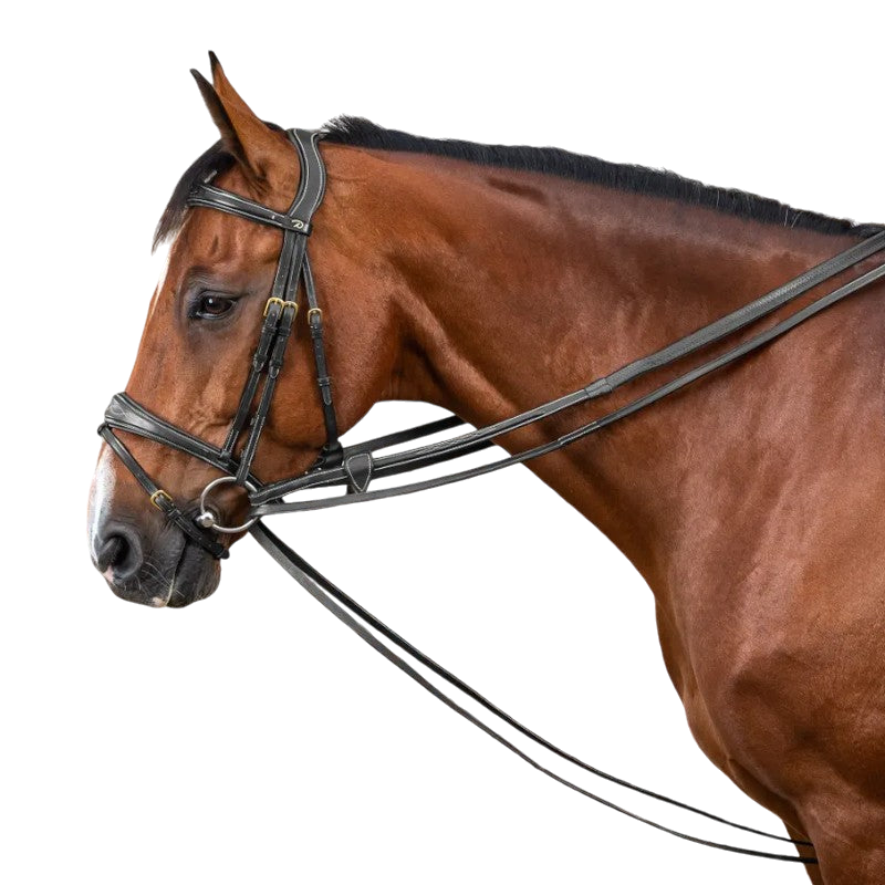 Dyon - Rênes allemandes tout cuir 1/2 D Collection noir | - Ohlala