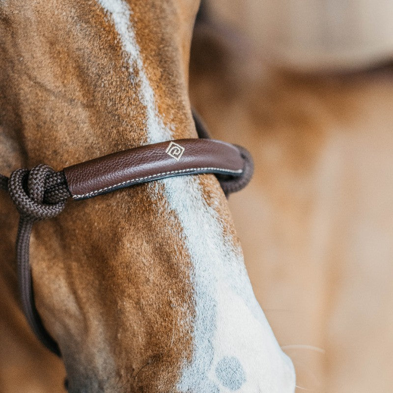 Dyon - Licol d'entraînement Working by Dyon marron | - Ohlala