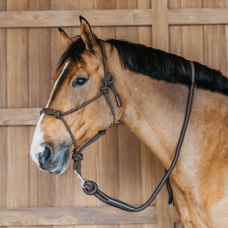 Dyon - Longe mousqueton amovible Working By Dyon marron | - Ohlala