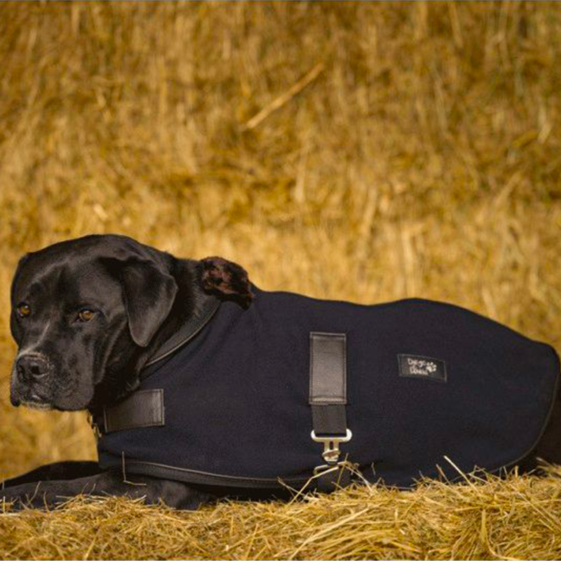 Diego &amp; Louna - Black Teddy fleece dog blanket