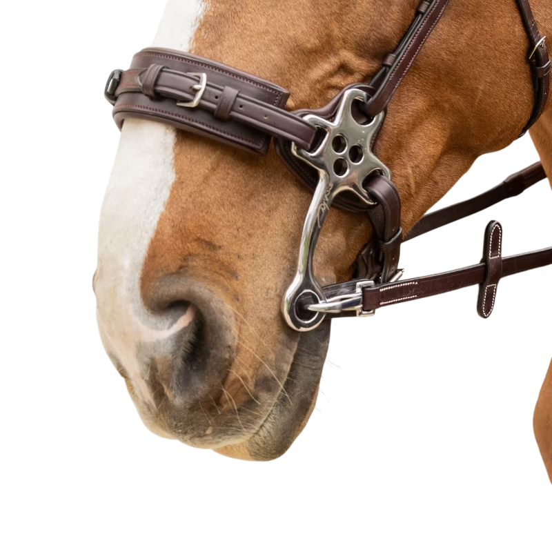 Dyon - Rubber hoses 5/8 with stops and brown working carabiner