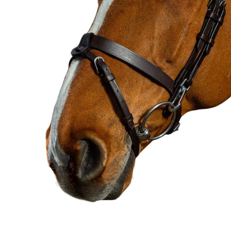 Dyon - Bridon cuir plat avec mousquetons Working By Dyon noir | - Ohlala