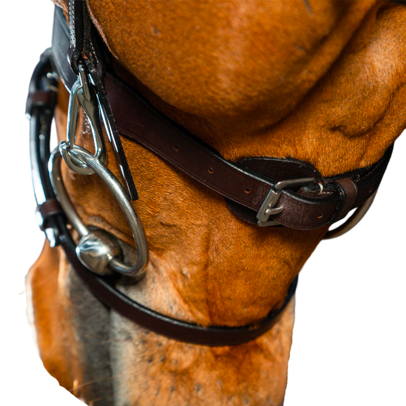 Dyon - Bridon cuir plat avec mousquetons Working by Dyon havane | - Ohlala