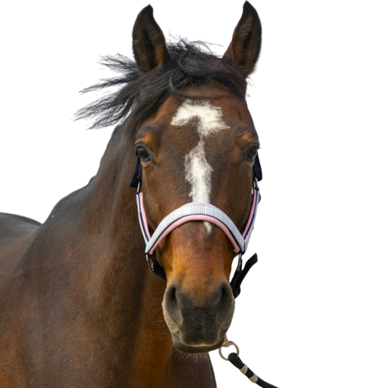 Equithème - Licol nylon Check marine/ rose | - Ohlala