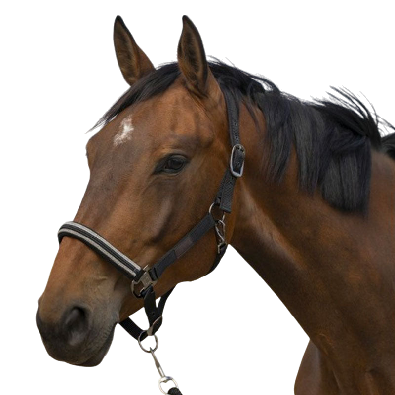 Equithème - Licol nylon Chevron noir | - Ohlala