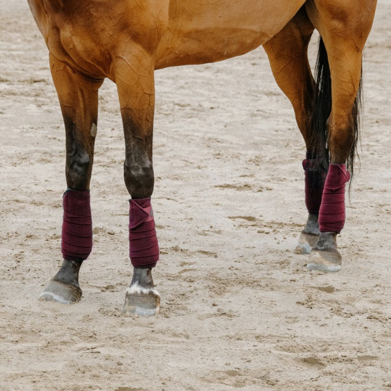 Equithème - Bande de polo 3M bordeaux | - Ohlala