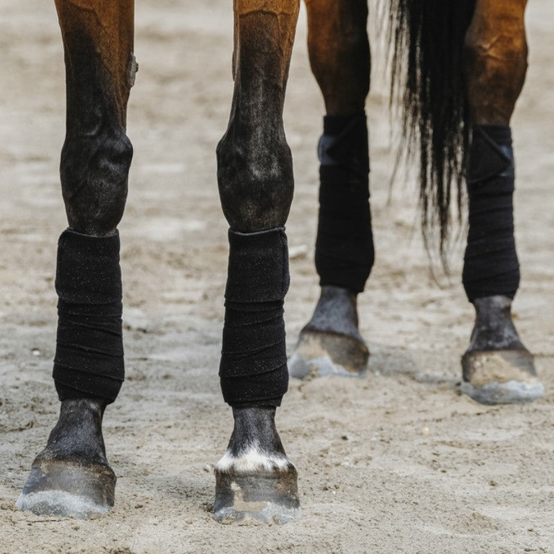 Equithème - Bande de polo 3M noir (x4) | - Ohlala