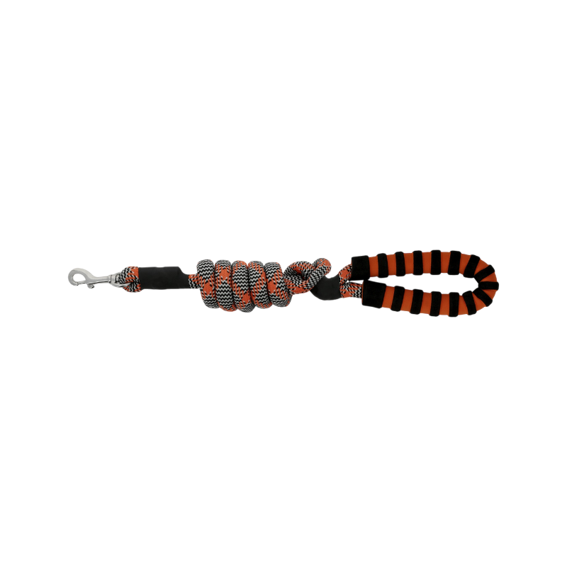 Equithème - Laisse pour chien avec poignée Haspen noir/ orange | - Ohlala
