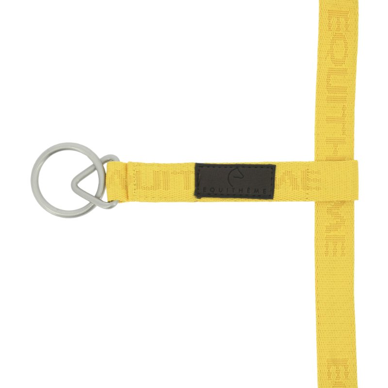 Equithème - Licol Nylon Jacquard or | - Ohlala