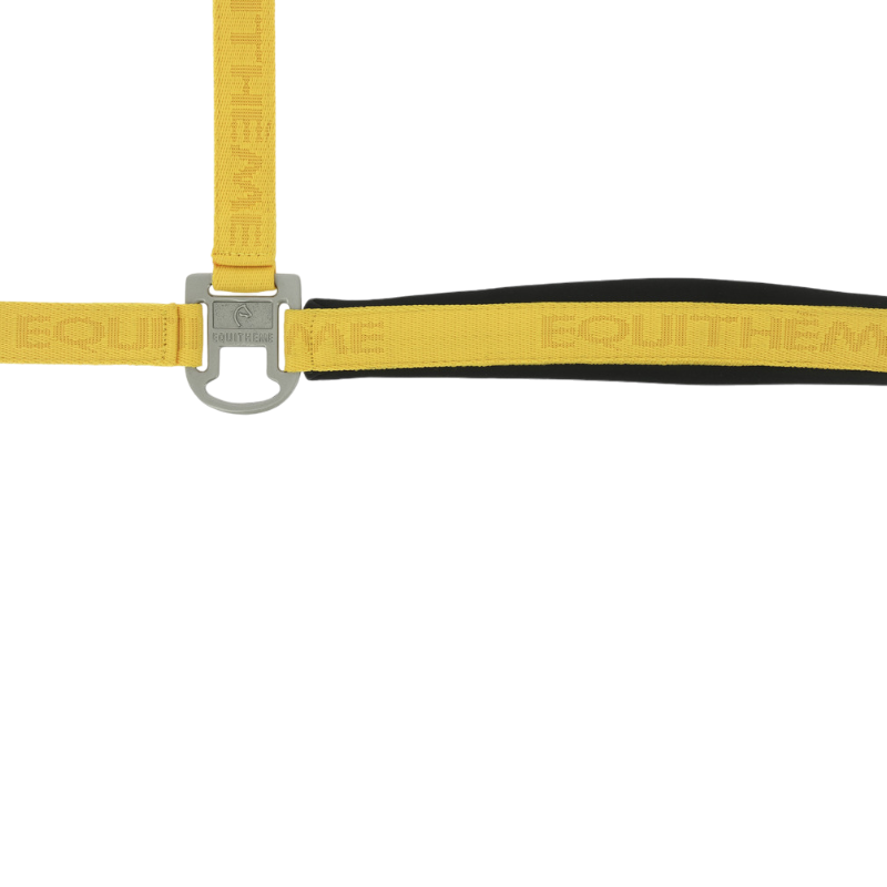 Equithème - Licol Nylon Jacquard or | - Ohlala