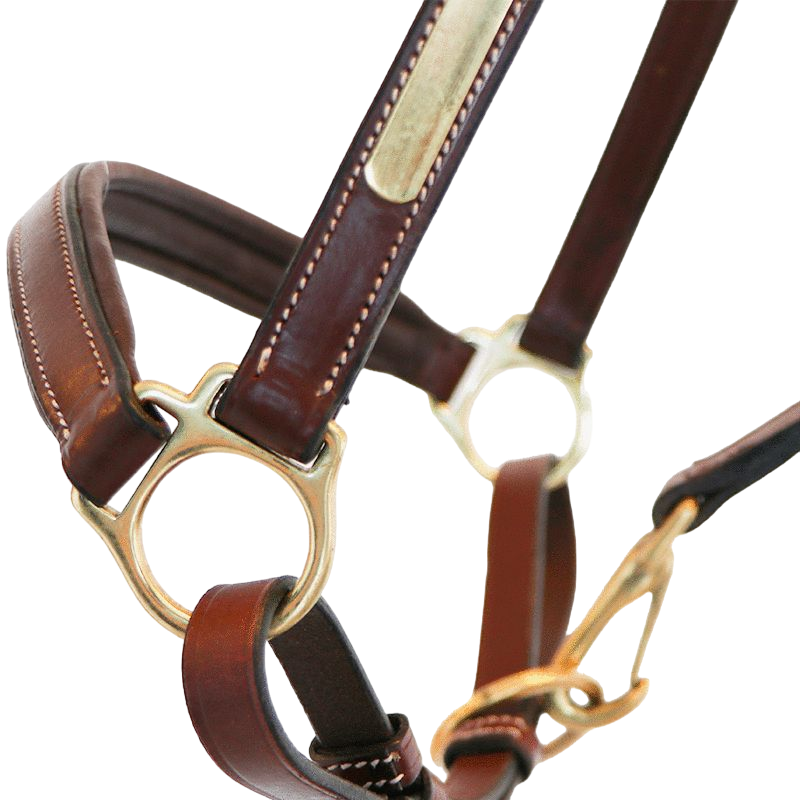 Eric Thomas - Licol cuir Grooming havane | - Ohlala