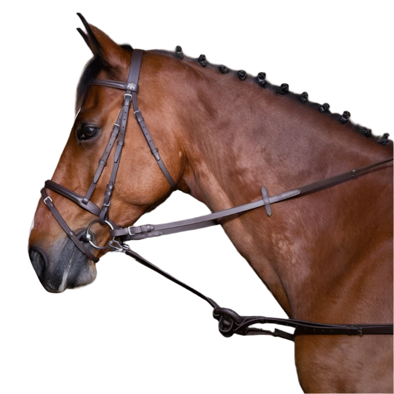 Riding World - Enrênement caoutchouc havane | - Ohlala