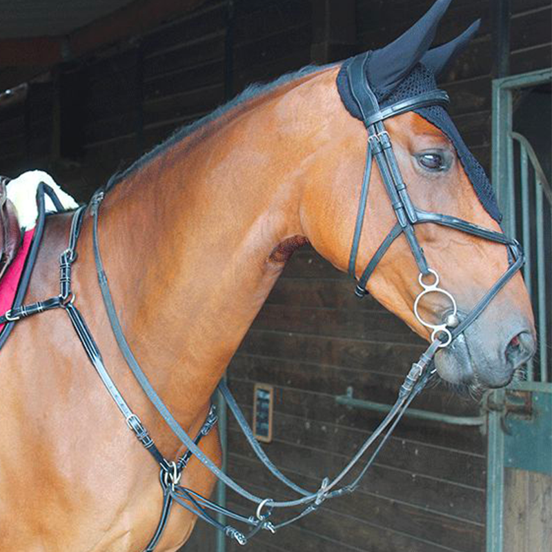 Equiline - Bonnet long pour chevaux noir | - Ohlala