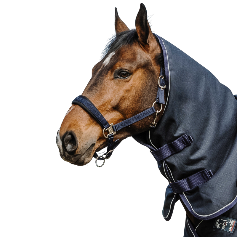 Equithème - Couvre-cou Anatomic Aisance 1200D 200g marine | - Ohlala