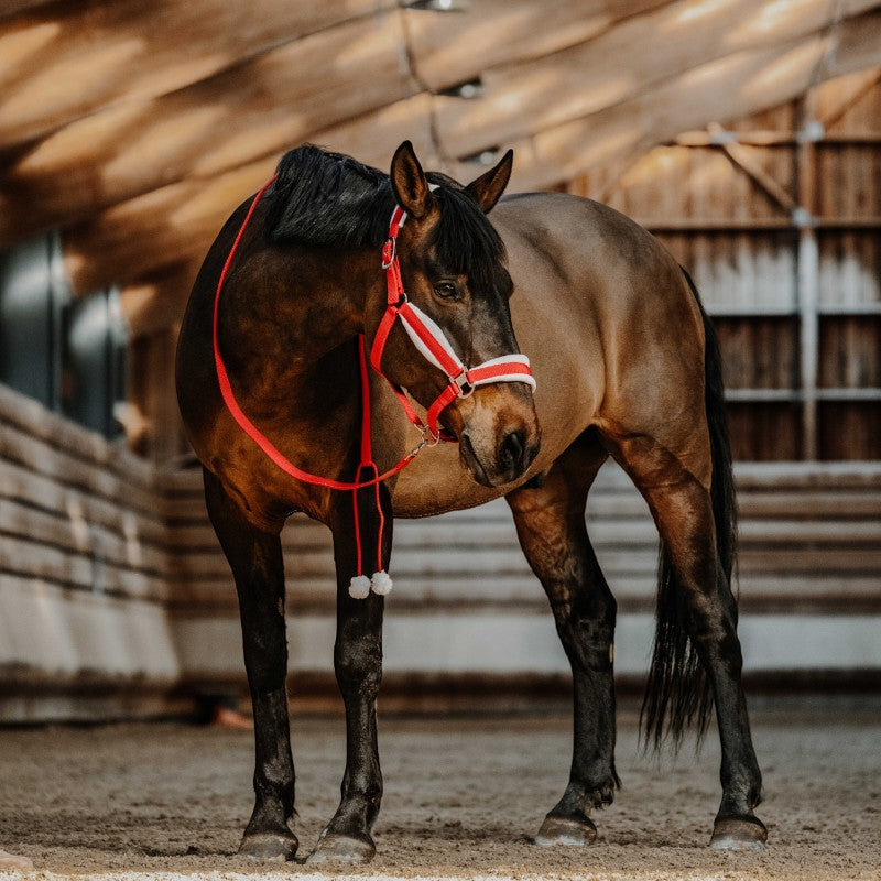 Equithème - Set halster + longe kerst rood