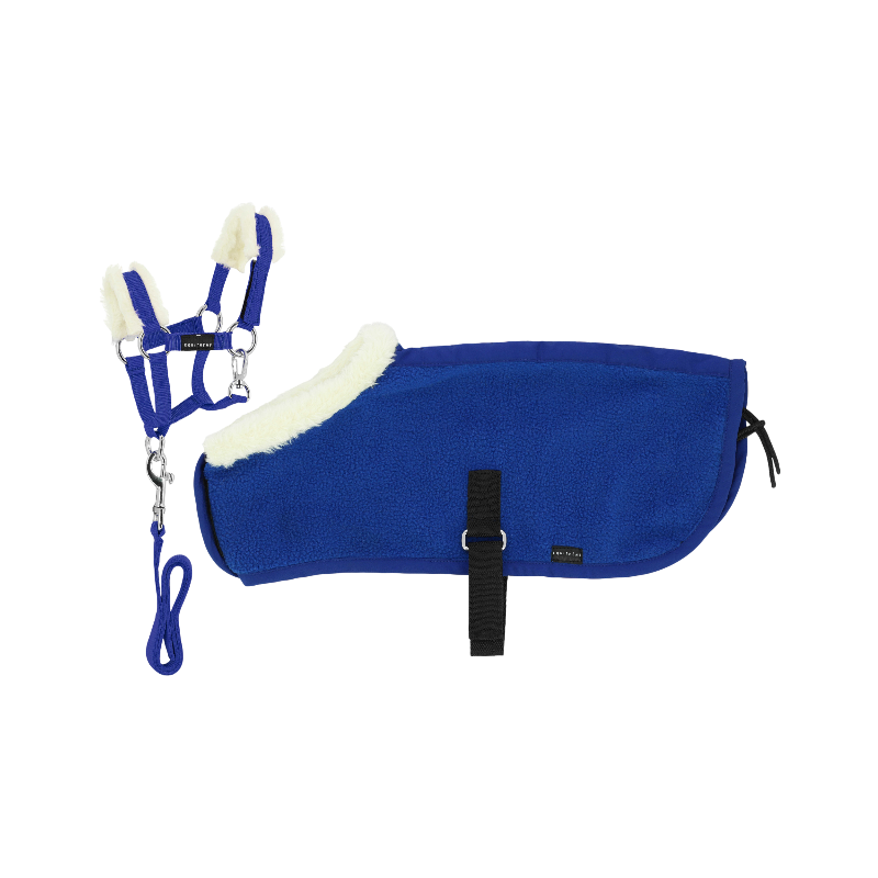 Equithème - Set licol + couverture pour mini poney bleu roi | - Ohlala