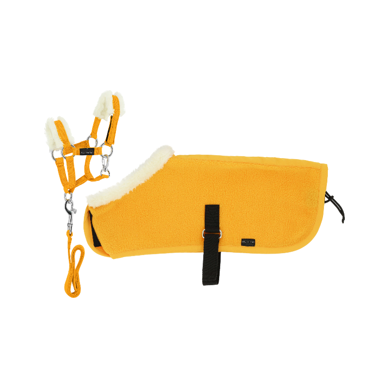 Equithème - Set halter + blanket for yellow mini pony