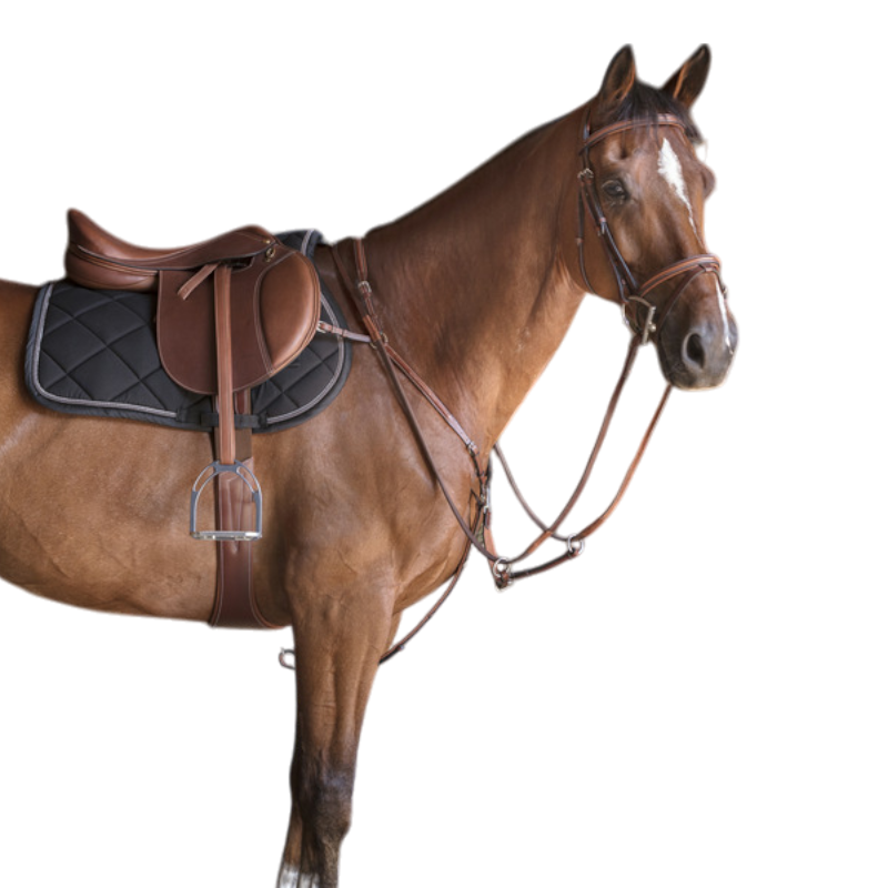 Eric Thomas - Collier de chasse Hybrid havane | - Ohlala