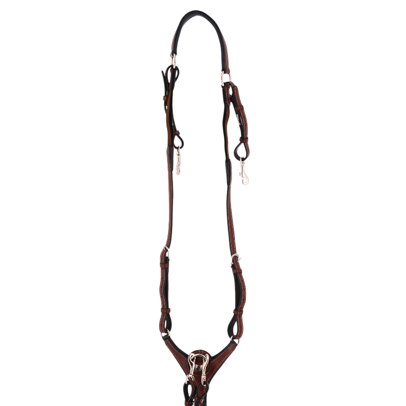 Flags & Cup - Collier de chasse Paris Marron / Marine | - Ohlala