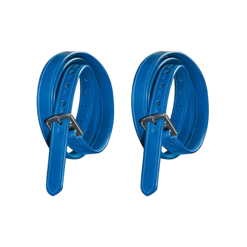 Flags & Cup - Stirrup leathers in covered nylon and electric blue leather