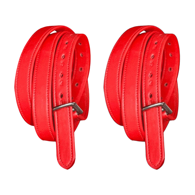 Flags & Cup - Covered nylon and red leather stirrup leathers