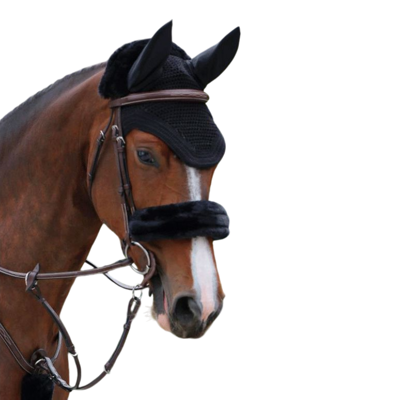 Kentucky Horsewear - Fourreau de muserolle noir | - Ohlala