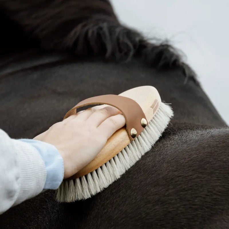 Grooming Deluxe - Zachte glansborstel