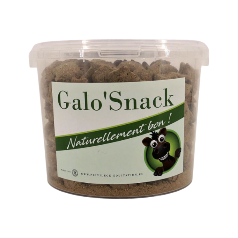 Galo'Snack - Treats for horses Fer à Cheval