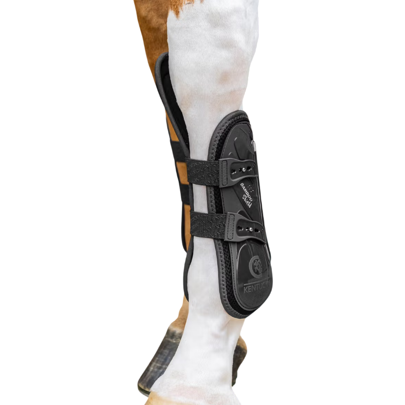 Kentucky Horsewear - Guêtres Elastic protection genoux noir