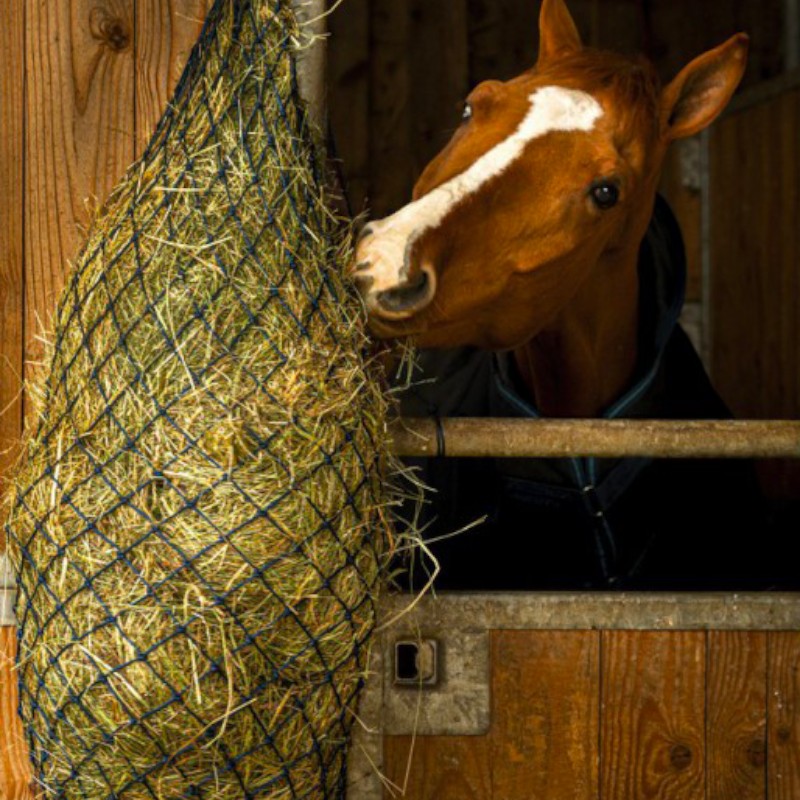 Hippotonic - Filet à foin long marine | - Ohlala