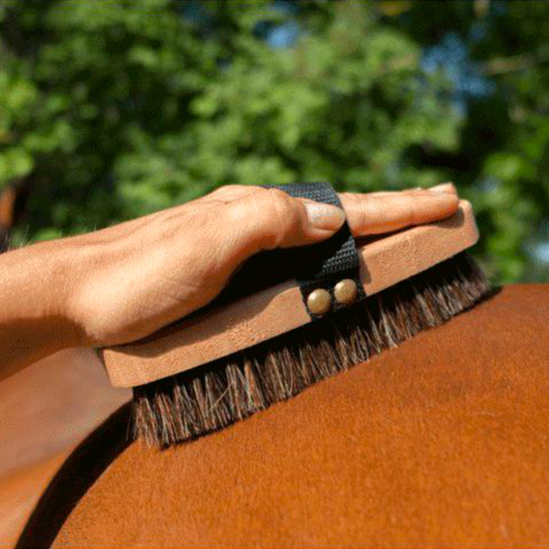 Hippotonic - Brosse extra-douce