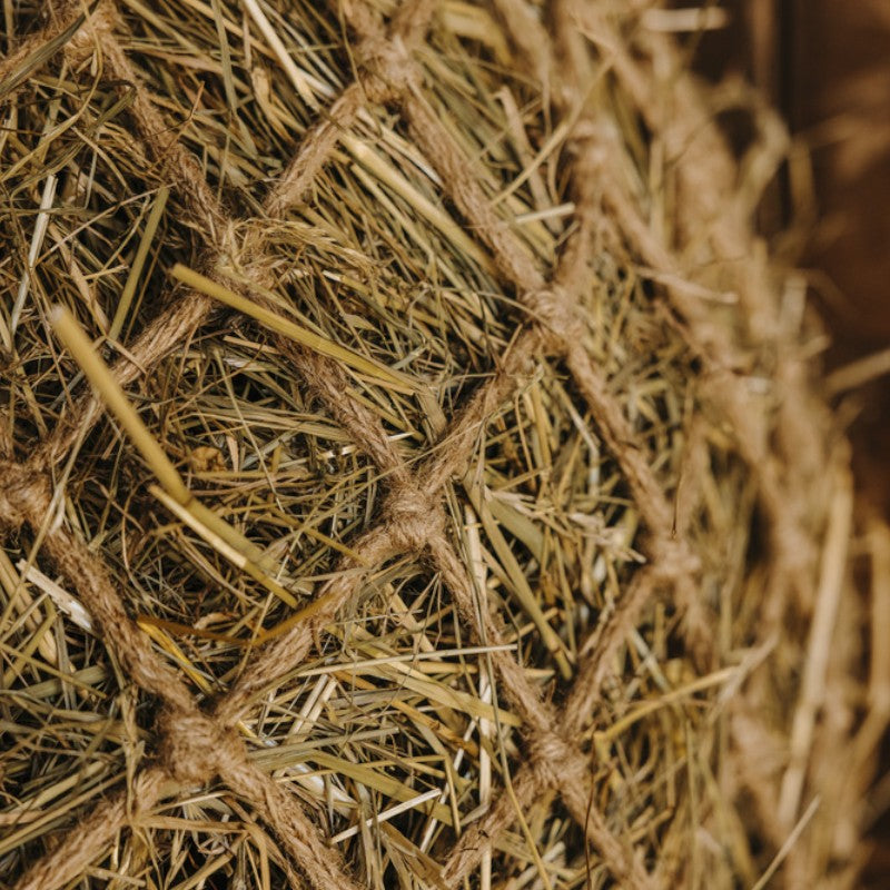 Hippotonic - Filet à foin naturel beige | - Ohlala