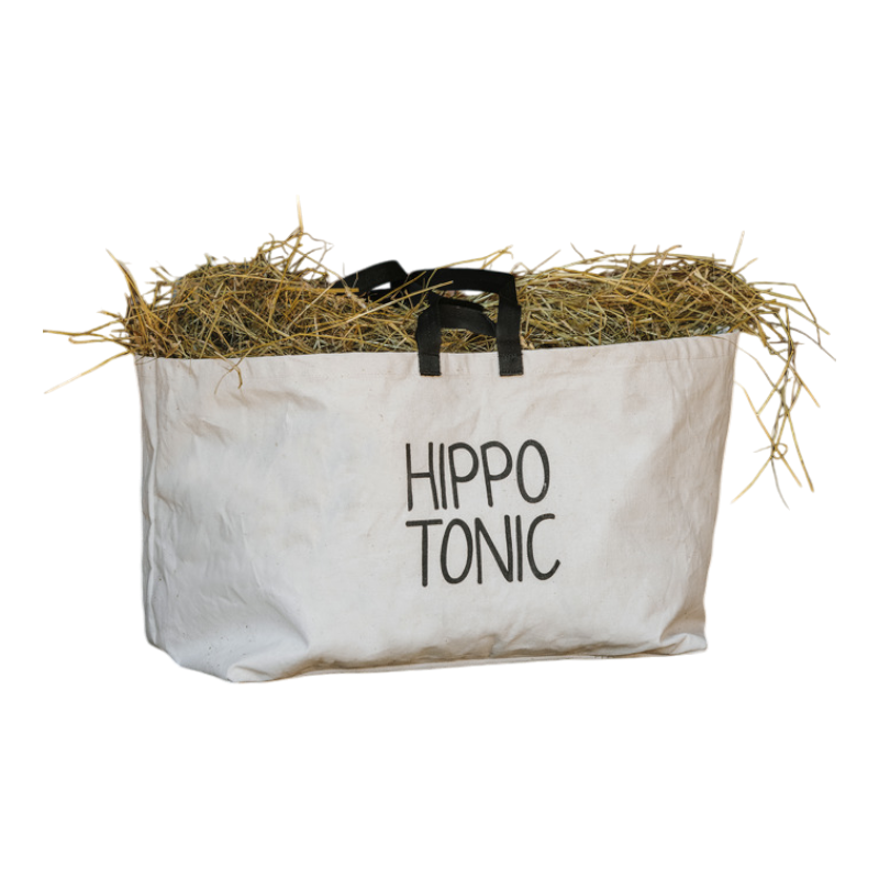 Hippotonic - Sac de transport Canvas beige | - Ohlala