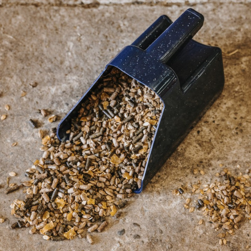 Hippotonic - Mesure à grain 2L pailletée bordeaux | - Ohlala