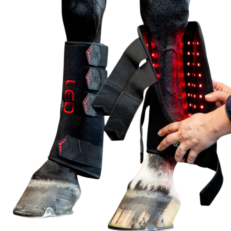 Horseware - Guêtres thérapeutiques lumière rouge LED (x1) | - Ohlala